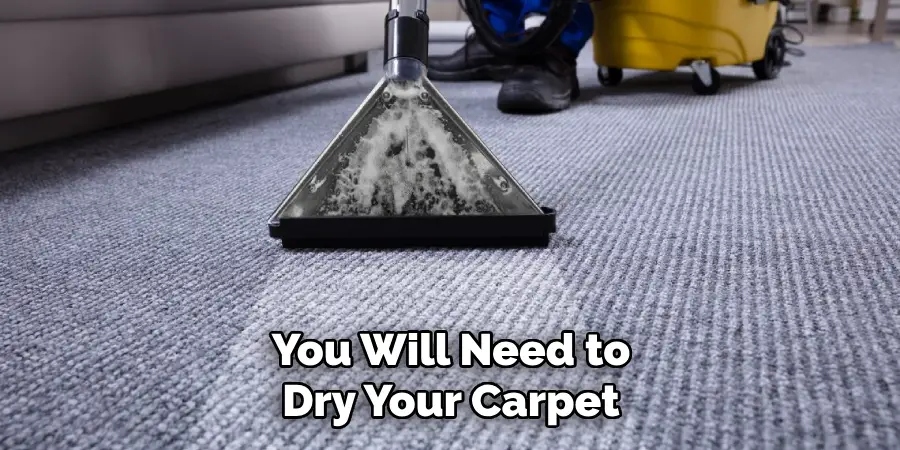 You Will Need to Dry Your Carpet