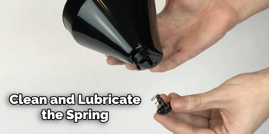 Clean and Lubricate
the Spring