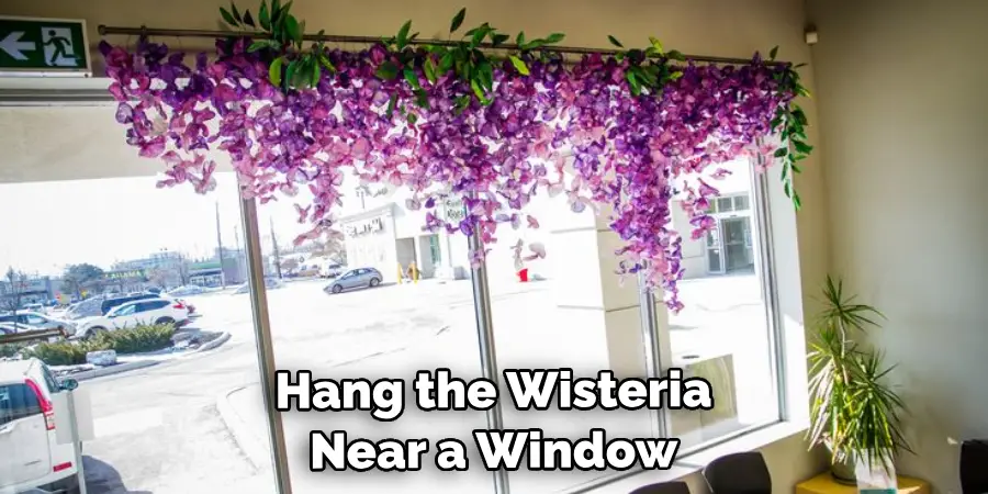 Hang the Wisteria Near a Window