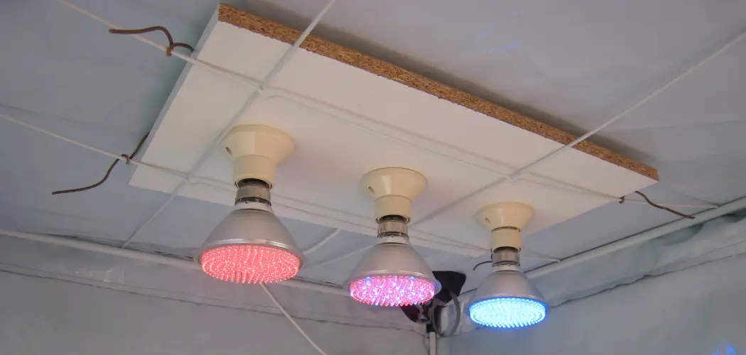 How to Hang Grow Lights From Ceiling