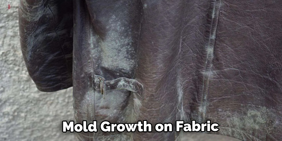 Mold Growth on Fabric