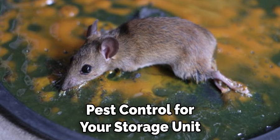 Pest Control for Your Storage Unit