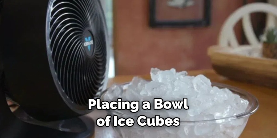 Placing a Bowl of Ice Cubes in Front