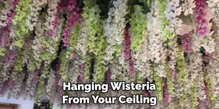 How to Hang Wisteria From Ceiling | 10 Easy Steps (2024)