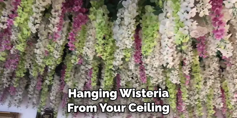 hanging wisteria from your ceiling