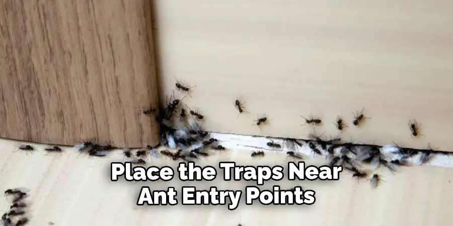 Place the Traps Near Ant Entry Points