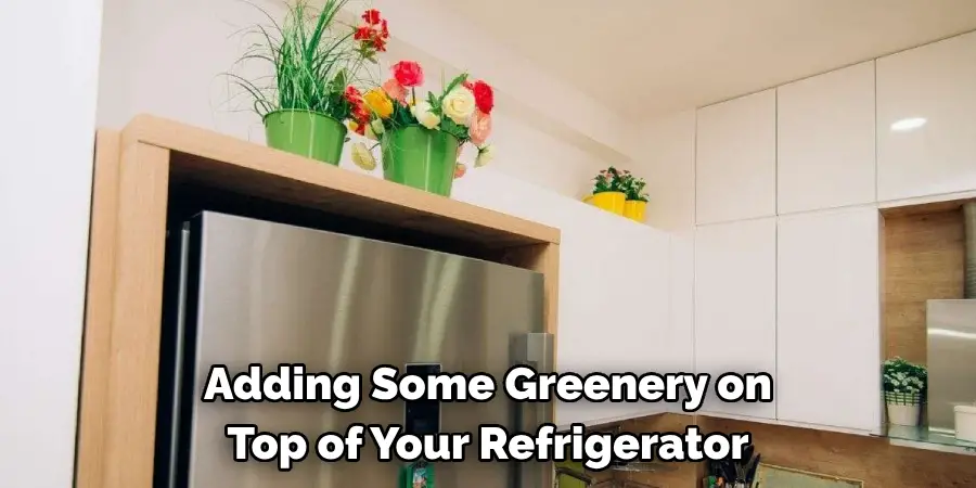 Adding Some Greenery on 
Top of Your Refrigerator