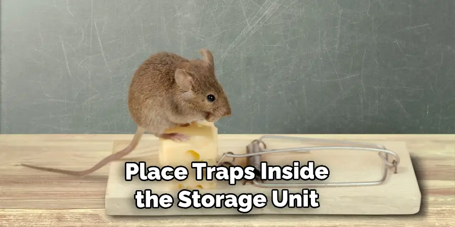 Place Traps Inside the Storage Unit