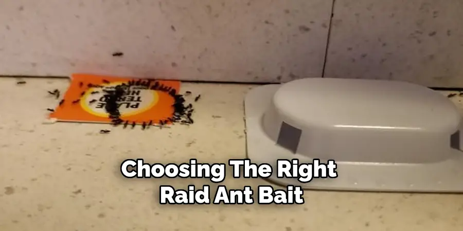 Choosing the Right Raid Ant Bait