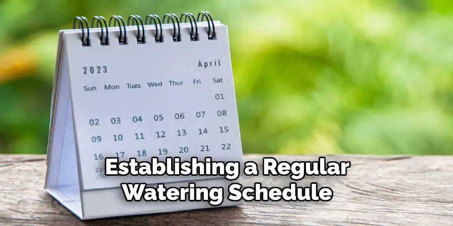 Establishing a Regular Watering Schedule 