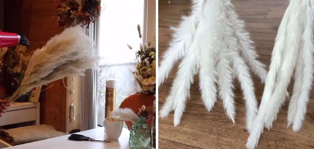 How to Make Pampas Grass Fluffy