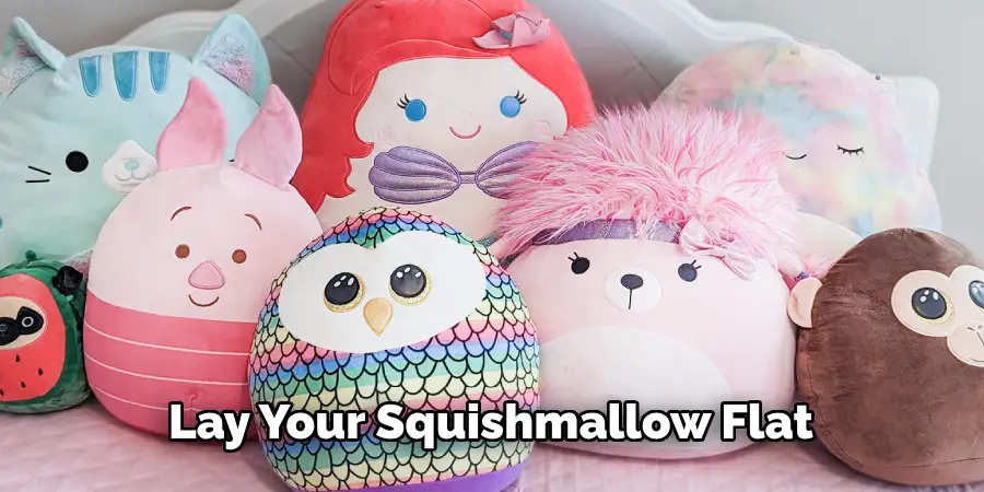 Lay Your Squishmallow Flat 