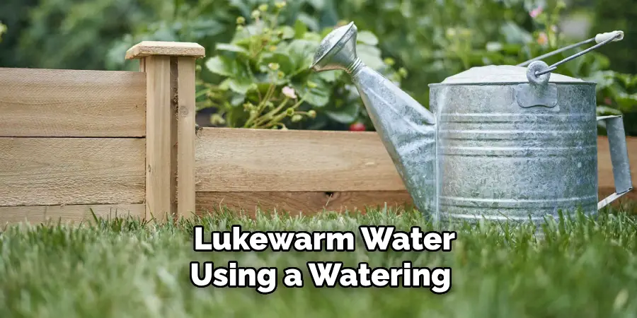 Lukewarm Water Using a Watering 