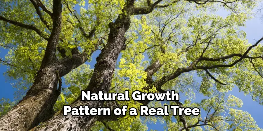 Natural Growth Pattern of a Real Tree