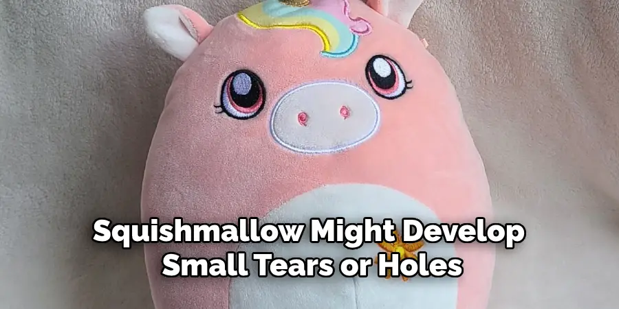 Squishmallow Might Develop Small Tears or Holes