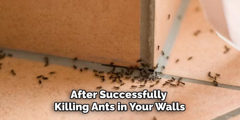 Stunning How To Get Rid Of Ants In Walls Permanently Wallpaper Collection Stunning How To Get Rid Of Ants In Walls Permanently Wallpaper Collection