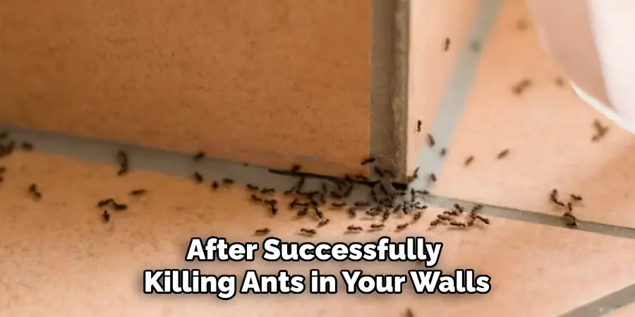 After Successfully Killing Ants in Your Walls