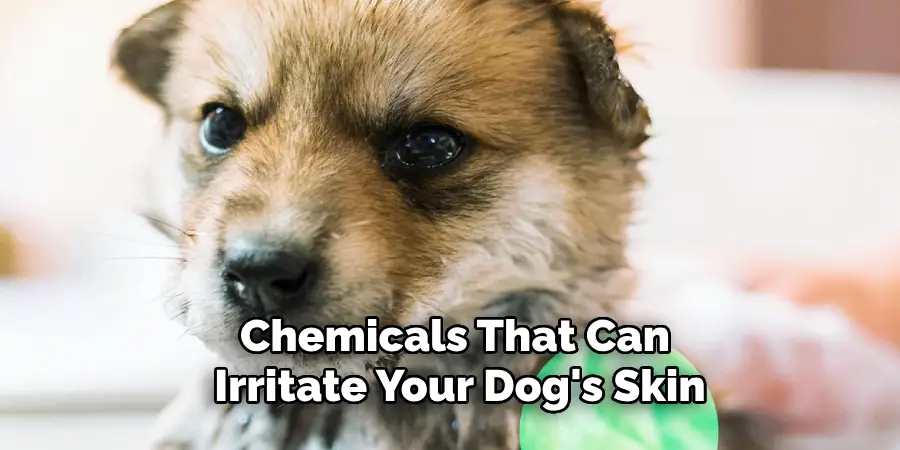 Chemicals That Can
 Irritate Your Dog's Skin