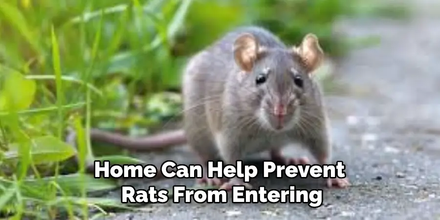 Home Can Help Prevent Rats From Entering