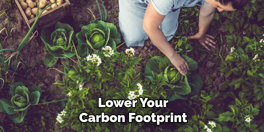 Lower Your
Carbon Footprint