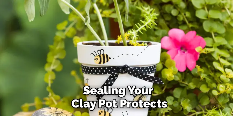 Sealing Your Clay Pot Protects