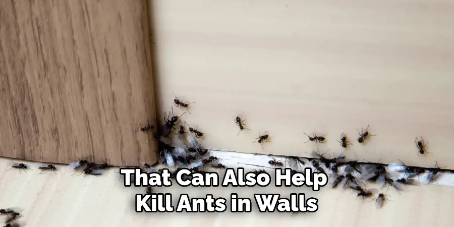 That Can Also Help Kill Ants in Walls