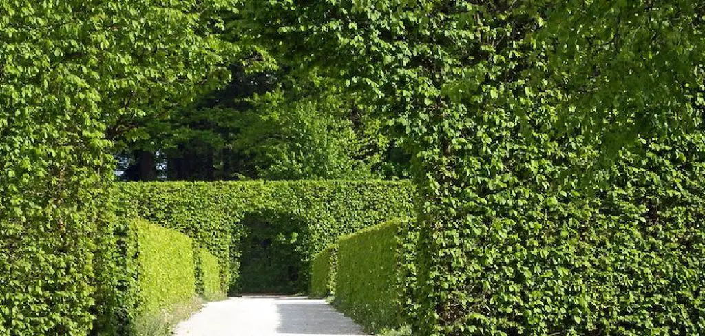 How to Make a Fake Plant Wall