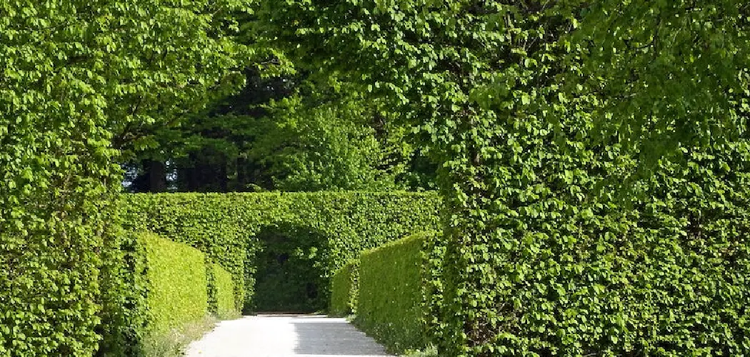 How to Make a Fake Plant Wall