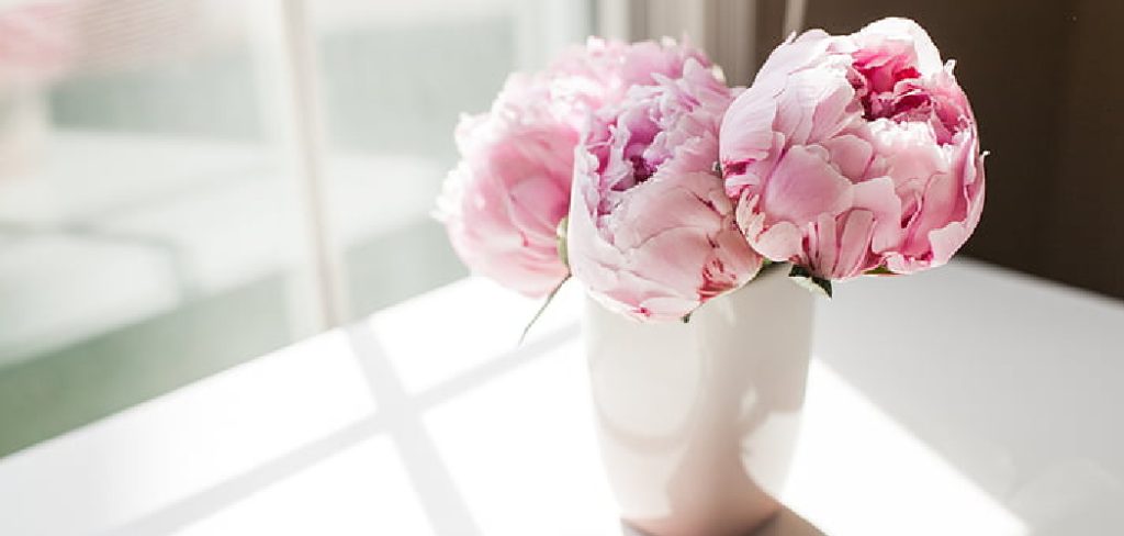 How to Take Care of Peonies in a Vase