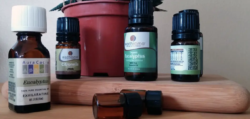 How to Use Tea Tree Oil for Bed Bugs