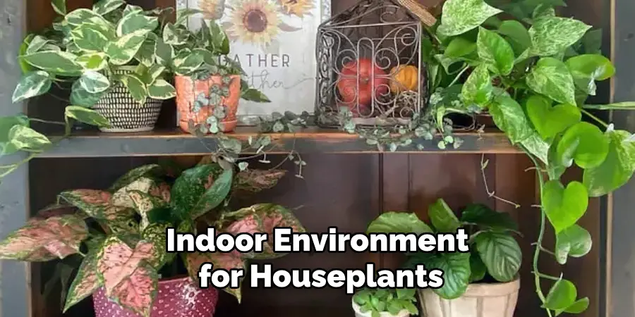 Indoor Environment for Houseplants