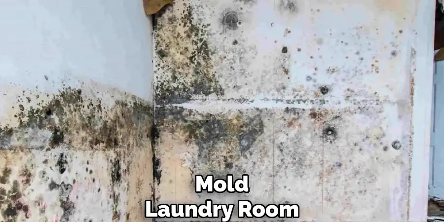 Mold
Laundry Room
