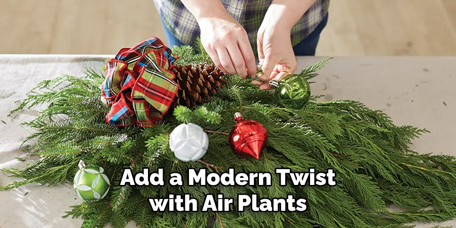 Add a Modern Twist with Air Plants