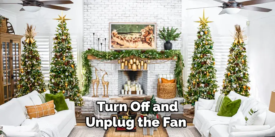 Turn Off and Unplug the Fan