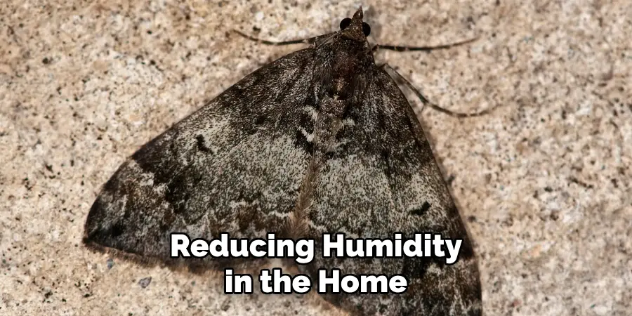 Reducing Humidity in the Home