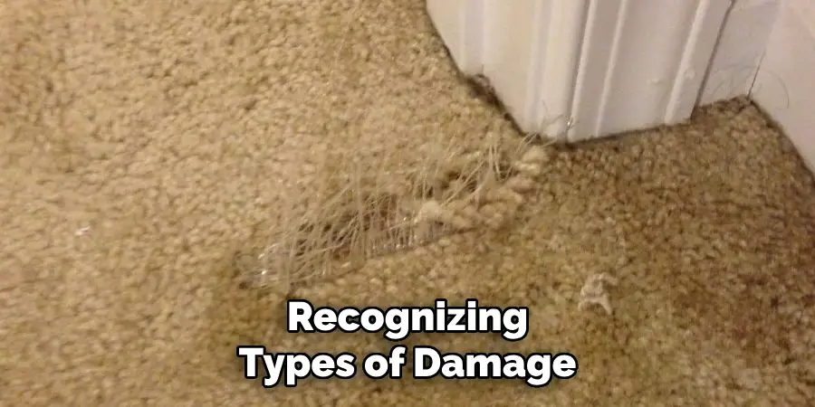 Recognizing Types of Damage