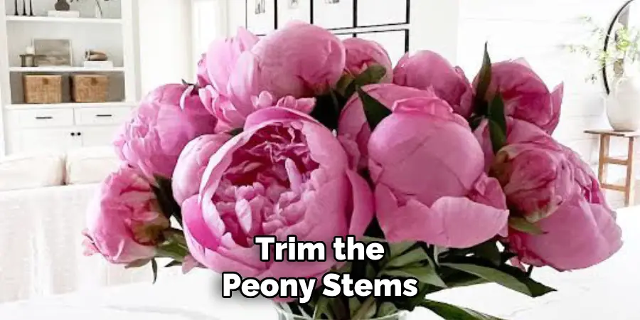 Trim the Peony Stems