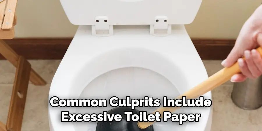 Common Culprits Include Excessive Toilet Paper
