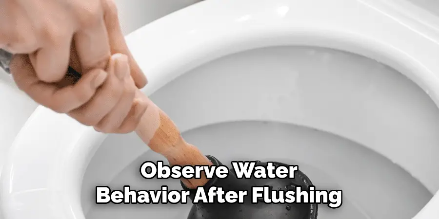 Observe Water Behavior After Flushing