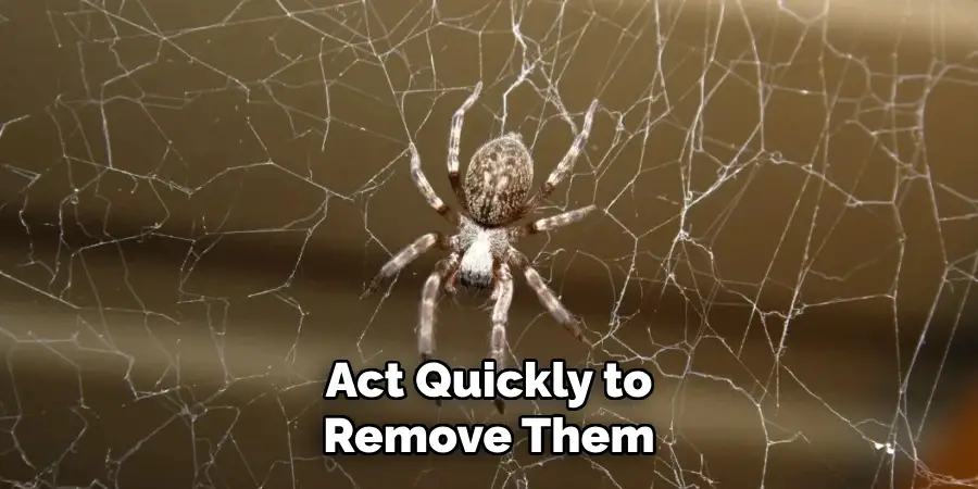 Act Quickly to Remove Them