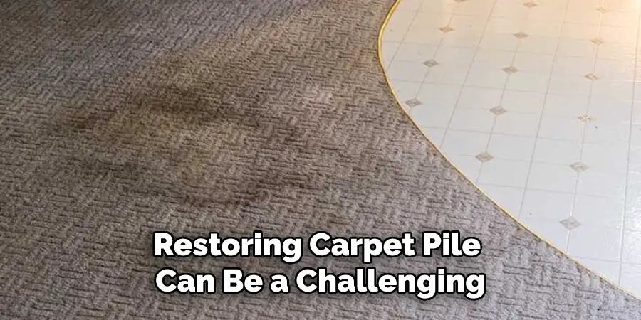 Restoring Carpet Pile Can Be a Challenging