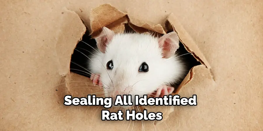 Sealing All Identified 
Rat Holes