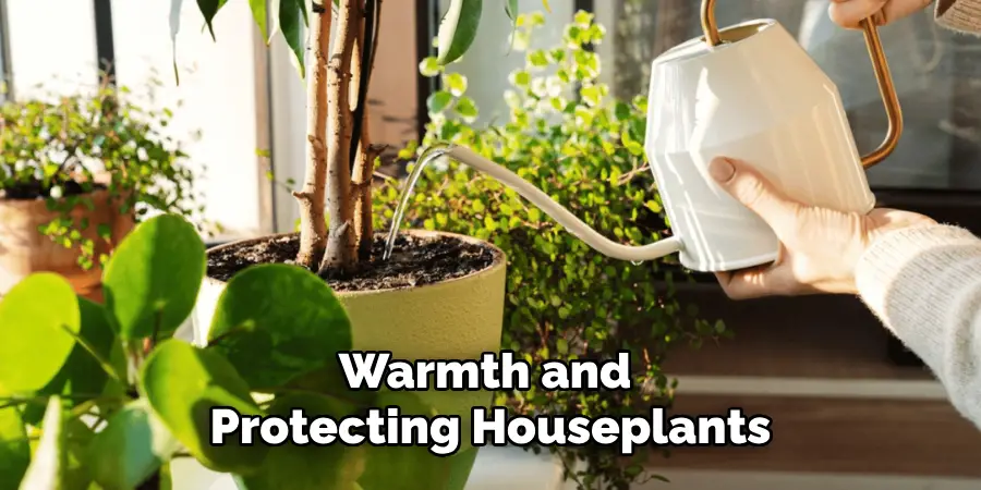 Warmth and Protecting Houseplants