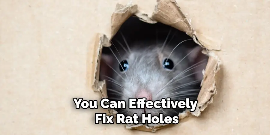 You Can Effectively
 Fix Rat Holes