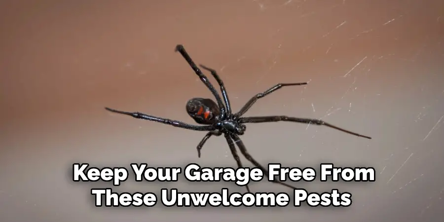  Keep Your Garage Free From These Unwelcome Pests