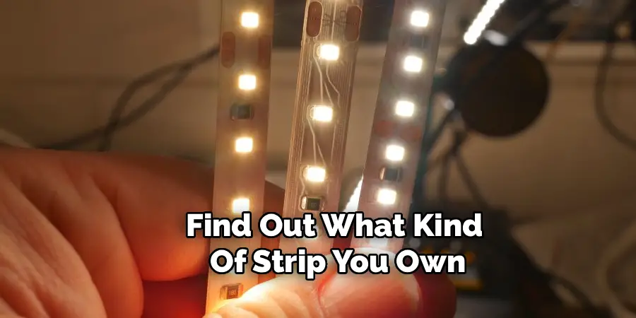 Find Out What Kind 
Of Strip You Own