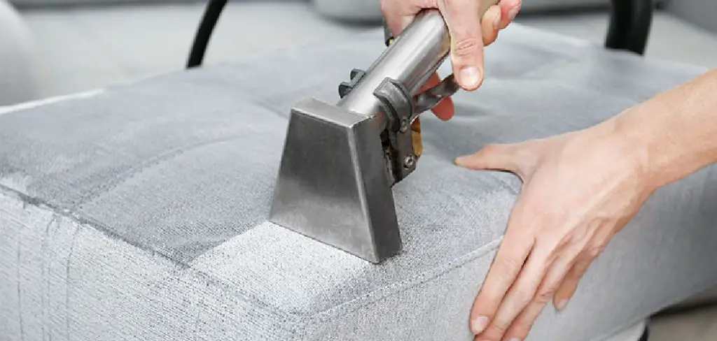 How to Get Rid of Fleas on Sofa