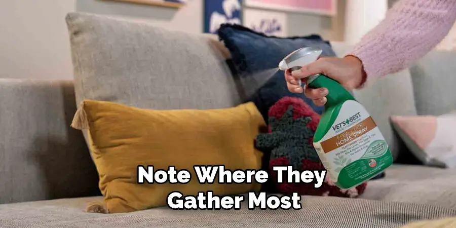 Note Where They
Gather Most